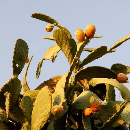 Pensjonat Exclusive Boutique 1 4*