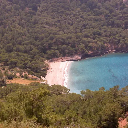 Exclusive Boutique 1 4*