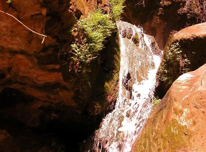 Exclusive Boutique 1 Affittacamere