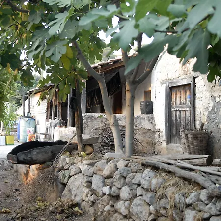 Exclusive Boutique 1 Penzion Faralya