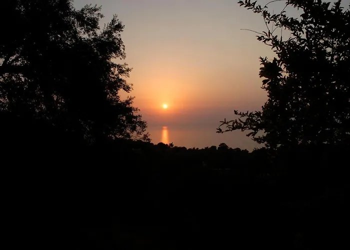 Exclusive Boutique 1