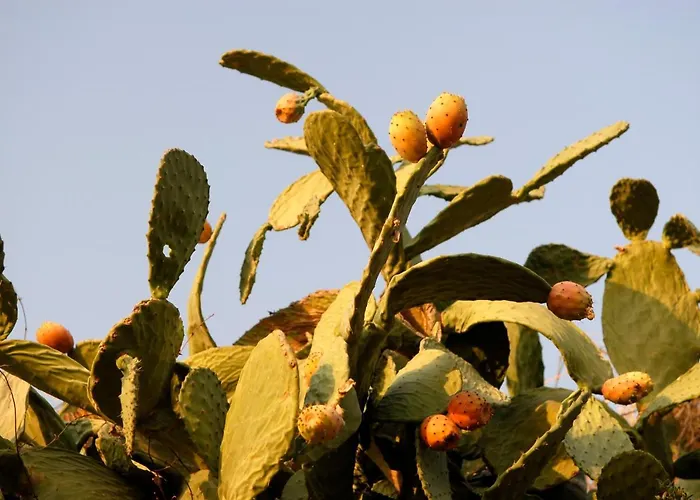 Penzion Exclusive Boutique 1 4*