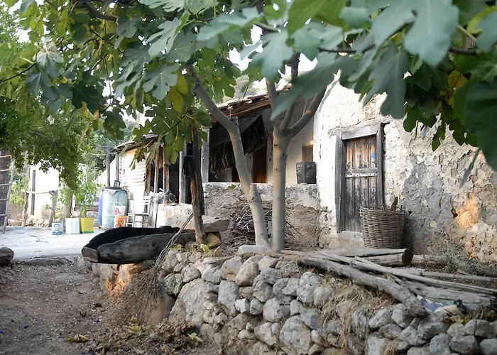 Exclusive Boutique 1 Penzion Faralya