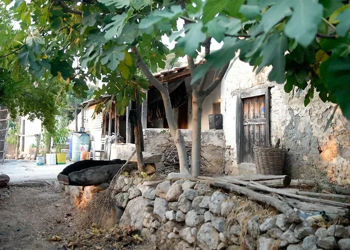 ゲストハウス Exclusive Boutique 1 ファラリア